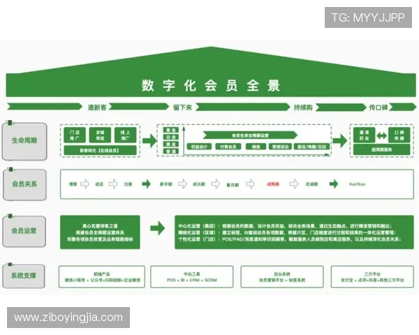 亚星登录管会员，优化会员管理流程提升企业运营效率