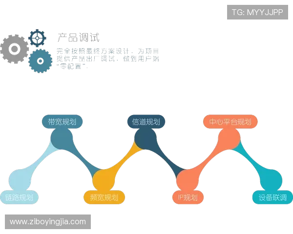 亚星管理网平台为游戏企业提供的定制化管理方案与服务内容详解